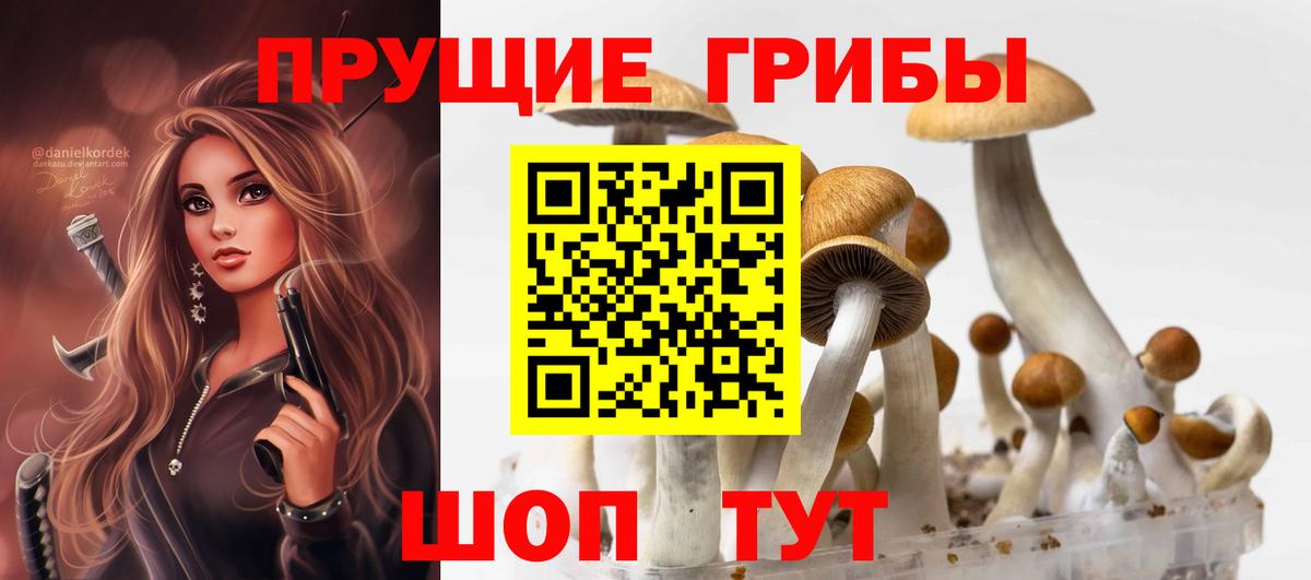 Петрозаводск  Галлюциногенные грибы ЛСД  Псилоцибиновые грибы мицелий  Вход с VPN 