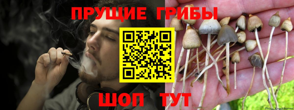 Галлюциногенные грибы Cubensis Петрозаводск